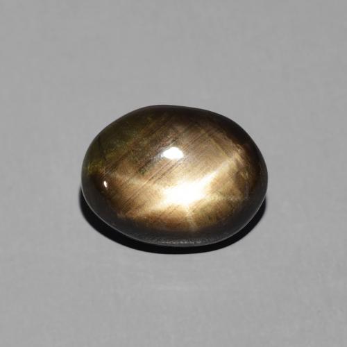 3.19ct طبيعي أسود نجمة الياقوت, بيضوي, غير شفاف