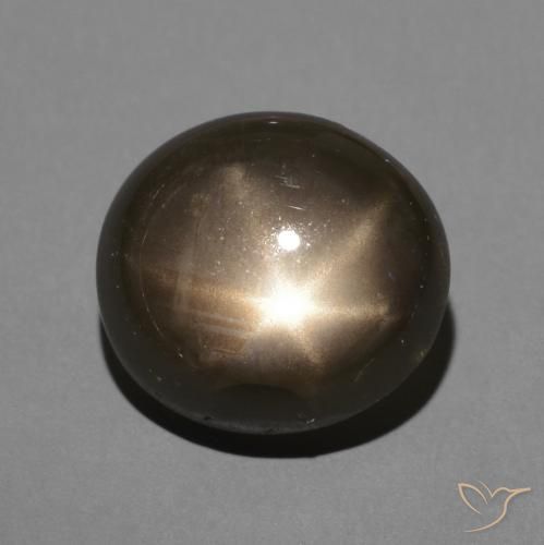 3.64ct طبيعي أسود نجمة الياقوت, بيضوي, غير شفاف
