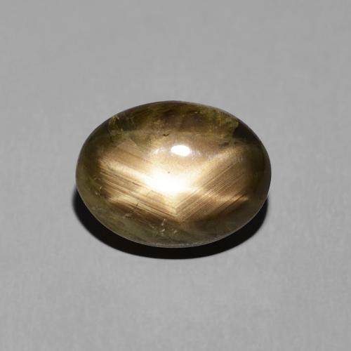 4.38ct طبيعي أسود نجمة الياقوت, بيضوي, غير شفاف