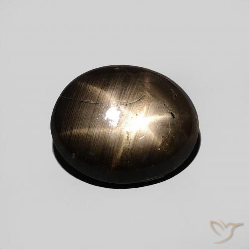 3.44ct طبيعي أسود نجمة الياقوت, بيضوي, غير شفاف