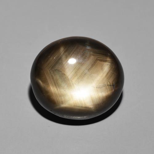 19.55ct طبيعي أسود نجمة الياقوت, بيضوي, غير شفاف