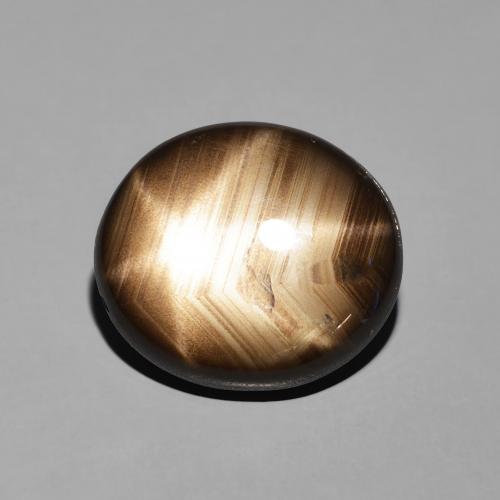 11.35ct طبيعي أسود نجمة الياقوت, بيضوي, غير شفاف