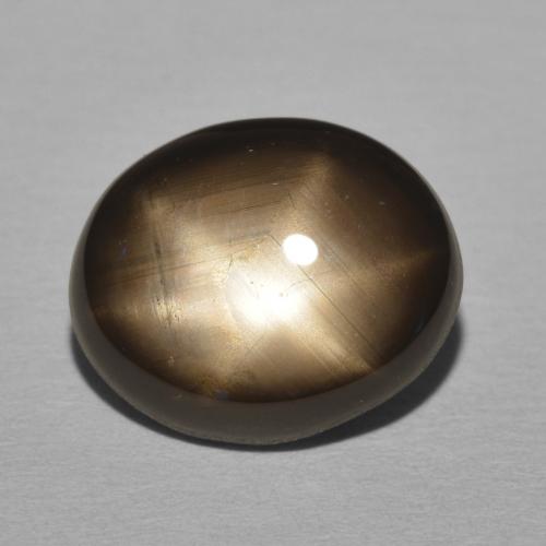 11.05ct طبيعي أسود نجمة الياقوت, بيضوي, غير شفاف