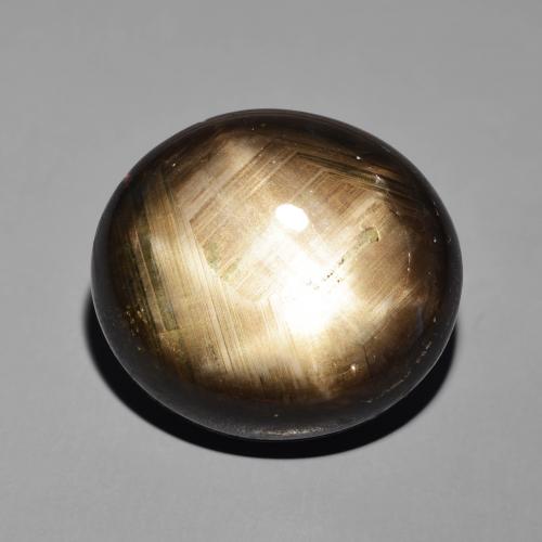 41.19ct طبيعي أسود نجمة الياقوت, بيضوي, غير شفاف