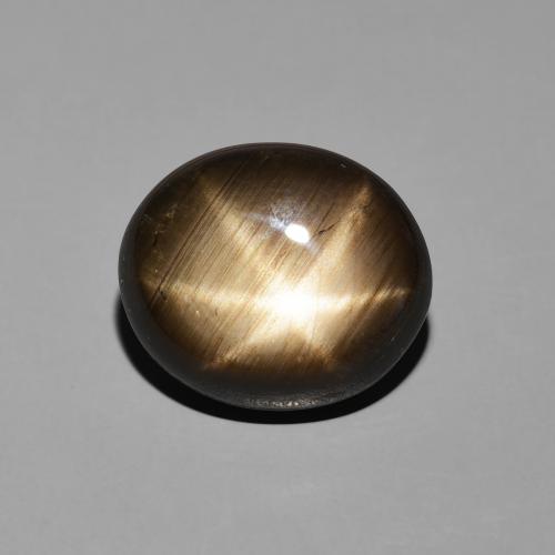 10.08ct طبيعي أسود نجمة الياقوت, بيضوي, غير شفاف