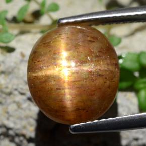 حجر الشمس نجمي بني ذهبي طبيعي، قصة بيضاوى، 6.17 قيراط، غير شفاف