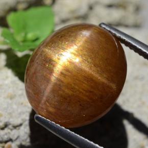 نجمة صن ستون بني ذهبي طبيعي، قصة بيضاوى، 17.89 قيراط، غير شفاف