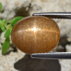 حجر الشمس نجمي بنى متوسط طبيعي، قصة بيضاوى، 8.35 قيراط، غير شفاف