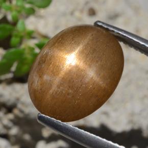 نجمة صن ستون بني ذهبي طبيعي، قصة بيضاوى، 7.47 قيراط، غير شفاف