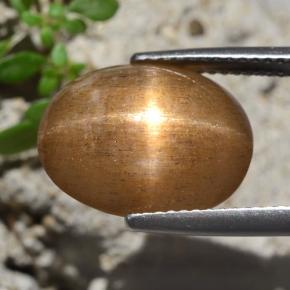 نجمة صن ستون بني ذهبي طبيعي، قصة بيضاوى، 7.47 قيراط، غير شفاف