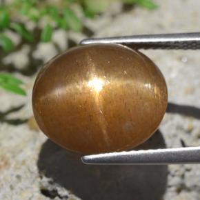 نجمة صن ستون بنى فاتح-متوسط طبيعي، قصة بيضاوى، 9.02 قيراط، غير شفاف