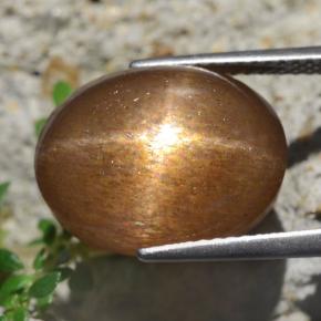 نجمة صن ستون بني ذهبي طبيعي، قصة بيضاوى، 13.59 قيراط، غير شفاف