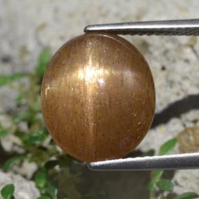 حجر الشمس نجمي بني ذهبي طبيعي، قصة بيضاوى، 6.20 قيراط، غير شفاف