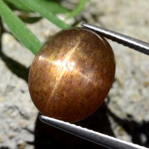 نجمة صن ستون بني ذهبي طبيعي، قصة بيضاوى، 8.75 قيراط، غير شفاف