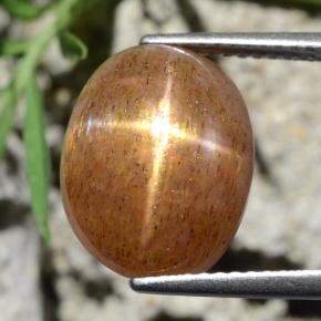 نجمة صن ستون بني ذهبي طبيعي، قصة بيضاوى، 8.39 قيراط، غير شفاف