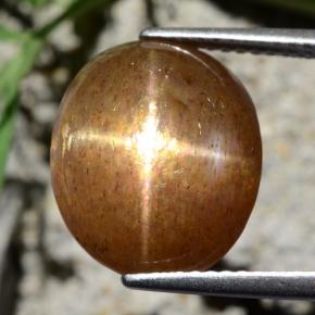 نجمة صن ستون بني ذهبي طبيعي، قصة بيضاوى، 9.24 قيراط، غير شفاف