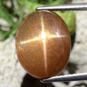 نجمة صن ستون بني ذهبي طبيعي، قصة بيضاوى، 9.10 قيراط، غير شفاف