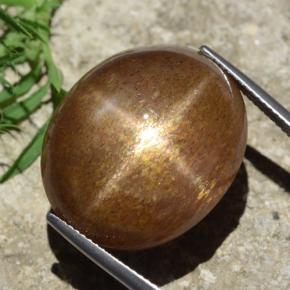 حجر الشمس نجمي بني ذهبي طبيعي، قصة بيضاوى، 39.02 قيراط، غير شفاف