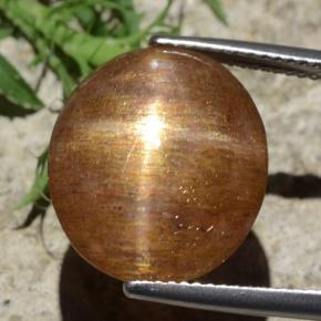 نجمة صن ستون بني ذهبي طبيعي، قصة بيضاوى، 12.29 قيراط، غير شفاف