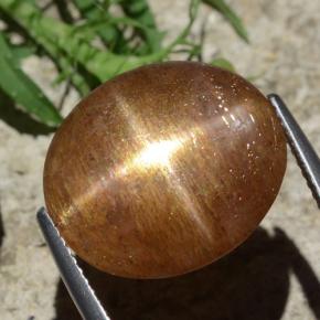 نجمة صن ستون بني ذهبي طبيعي، قصة بيضاوى، 12.29 قيراط، غير شفاف