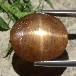 نجمة صن ستون بني ذهبي طبيعي، قصة بيضاوى، 12.29 قيراط، غير شفاف