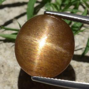 نجمة صن ستون بني ذهبي طبيعي، قصة بيضاوى، 12.58 قيراط، غير شفاف