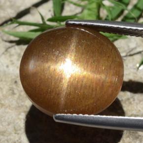 نجمة صن ستون بني ذهبي طبيعي، قصة بيضاوى، 12.58 قيراط، غير شفاف