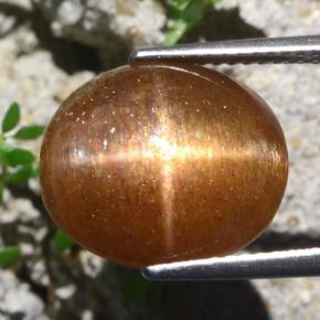 نجمة صن ستون بني ذهبي طبيعي، قصة بيضاوى، 9.51 قيراط، غير شفاف