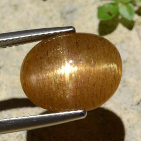 نجمة صن ستون بني ذهبي طبيعي، قصة بيضاوى، 6.61 قيراط، غير شفاف