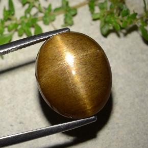 نجمة صن ستون بني ذهبي طبيعي، قصة بيضاوى، 16.93 قيراط، غير شفاف