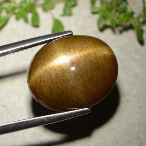 نجمة صن ستون بني ذهبي طبيعي، قصة بيضاوى، 16.93 قيراط، غير شفاف