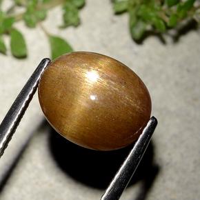 نجمة صن ستون بني ذهبي طبيعي، قصة بيضاوى، 6.21 قيراط، غير شفاف