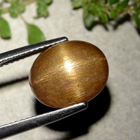 نجمة صن ستون بني ذهبي طبيعي، قصة بيضاوى، 6.21 قيراط، غير شفاف