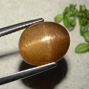 نجمة صن ستون بني ذهبي طبيعي، قصة بيضاوى، 7.51 قيراط، غير شفاف