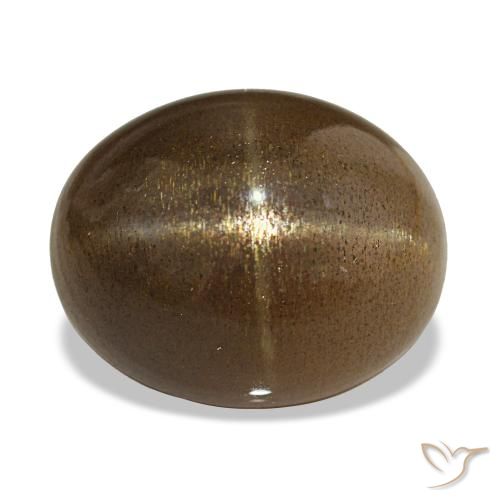 13.92ct بنى القهوة نجمة صن ستون, بيضوي, غير شفاف