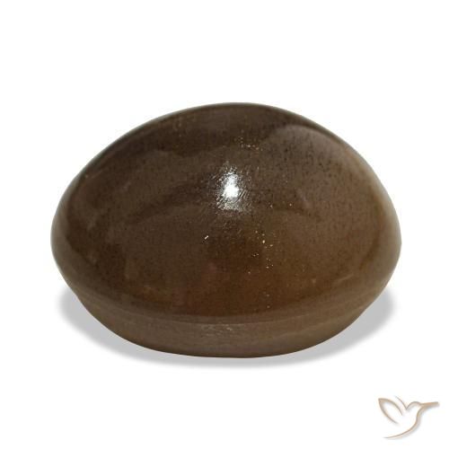 حجر الشمس نجمي طبيعي بلون بنى القهوة، وزن ‎13.92‎ قيراط، شكل بيضاوى، مقاس ‎15.9x13‎ مم