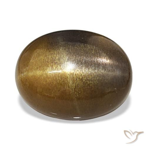 10.87ct بنى متوسط نجمة صن ستون, بيضوي, غير شفاف