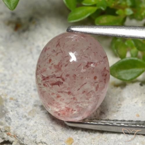 3.66ct طبيعي وردى متوسط كوارتز الفراولة, بيضوي, نصف شفاف