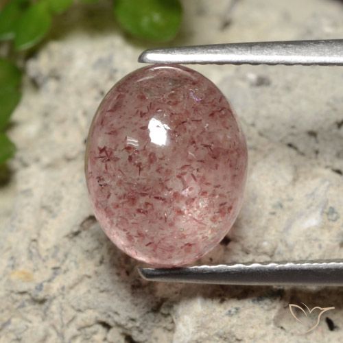 3.71ct طبيعي وردى متوسط كوارتز الفراولة, بيضوي, نصف شفاف