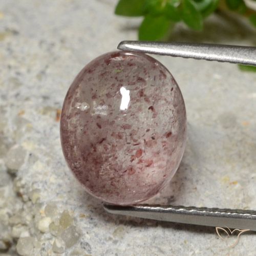 4.67ct طبيعي وردى متوسط كوارتز الفراولة, بيضوي, نصف شفاف