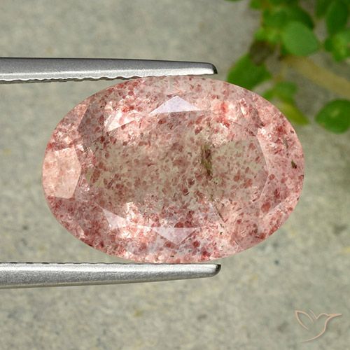 6.28ct طبيعي وردى ترابى كوارتز الفراولة, بيضوي, نصف شفاف