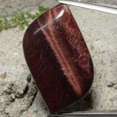49.22ct طبيعي بنى مصفوفة عين النمر, فانسى, غير شفاف
