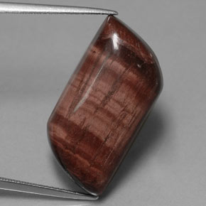 Tiger's Eye Matrix طبيعي بلون متعدد الألوان، وزن ‎21.51‎ قيراط، شكل شكل خيالي، مقاس ‎24x12.9‎ مم
