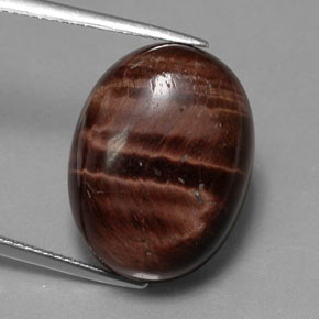 Tiger's Eye Matrix طبيعي بلون متعدد الألوان، وزن ‎21.49‎ قيراط، شكل بيضاوى، مقاس ‎20.4x15.3‎ مم
