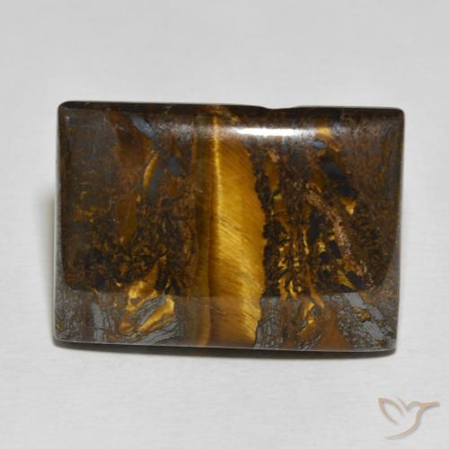 49.75ct طبيعي متعدد الألوان مصفوفة عين النمر, باجيت, غير شفاف