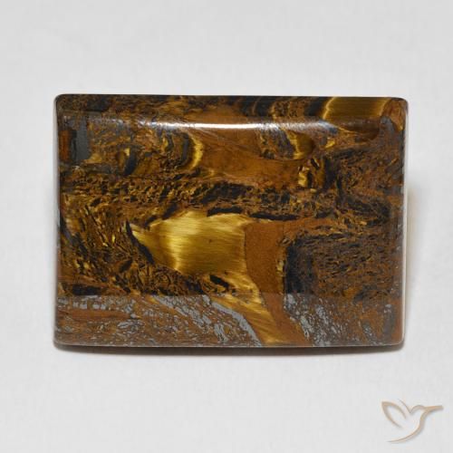 48.76ct طبيعي بني ذهبي مصفوفة عين النمر, باجيت, غير شفاف
