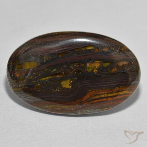 46.95ct طبيعي متعدد الألوان مصفوفة عين النمر, بيضوي, غير شفاف