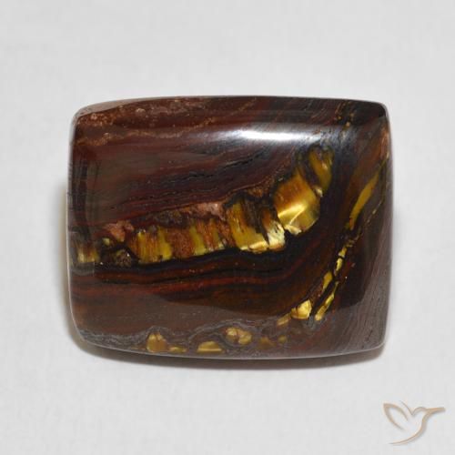 24.00ct طبيعي متعدد الألوان مصفوفة عين النمر, وسادة, غير شفاف