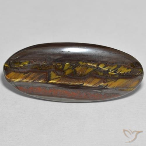 31.43ct طبيعي متعدد الألوان مصفوفة عين النمر, بيضوي, غير شفاف