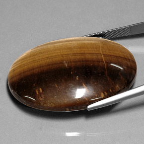 Tiger's Eye طبيعي بلون بني ذهبي، وزن ‎75.05‎ قيراط، شكل بيضاوى، مقاس ‎40.1x30‎ مم